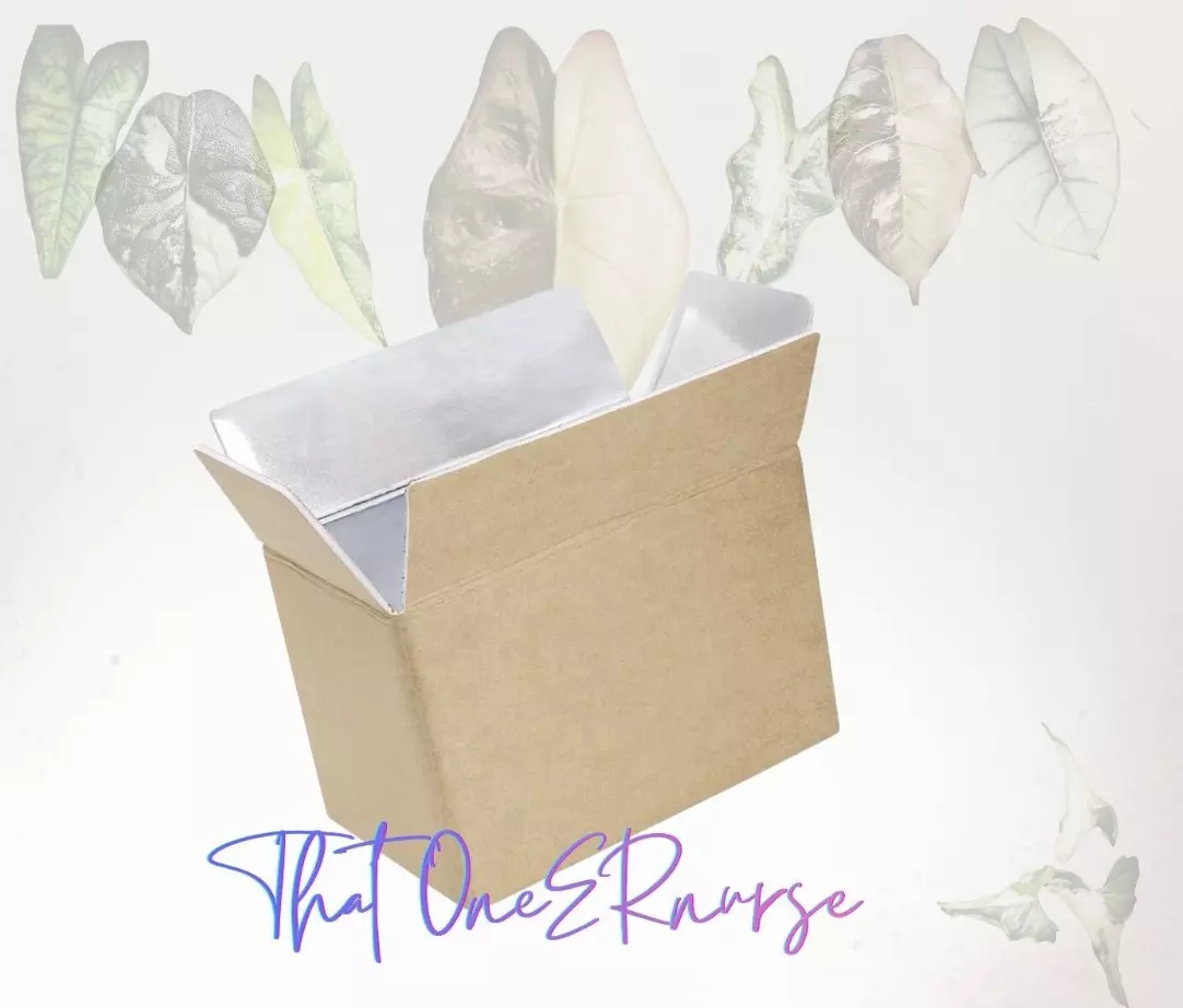 plant/Insulated shipping box-0