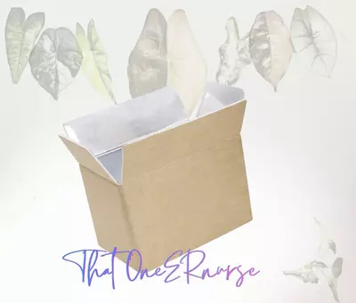 plant/Insulated shipping box-0-thumbnail