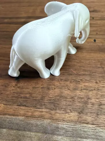 plant/The white elephant that beats all white of elephants!-2-thumbnail