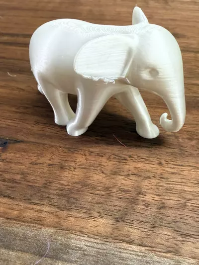 plant/The white elephant that beats all white of elephants!-3-thumbnail