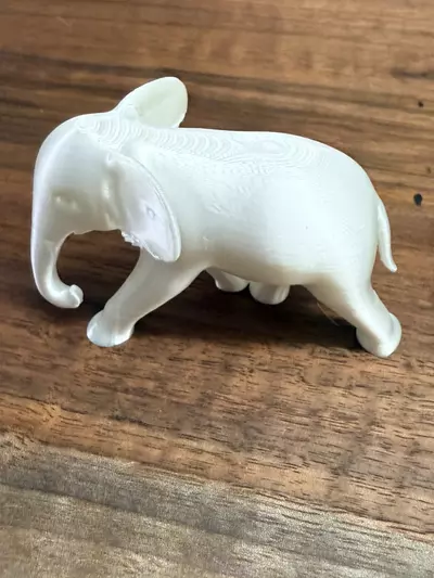 plant/The white elephant that beats all white of elephants!-1-thumbnail