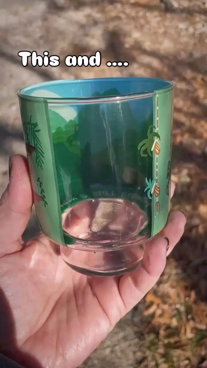 plant/CHECK AUCTION DEAL before purchasing ‼️-0