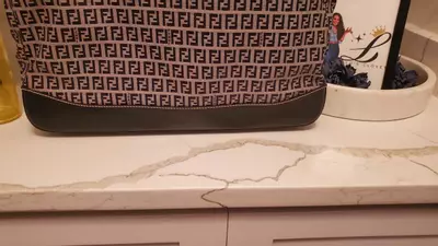 plant/FN6-Fendi Tote-2-thumbnail