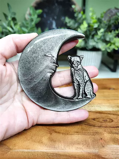 plant/Silver Sheen Obsidian moon w/leopard-0-thumbnail