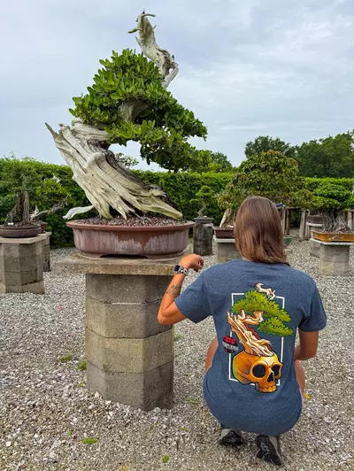 plant/Wigert’s Bonsai Skull Shirt – Charcoal-0-thumbnail