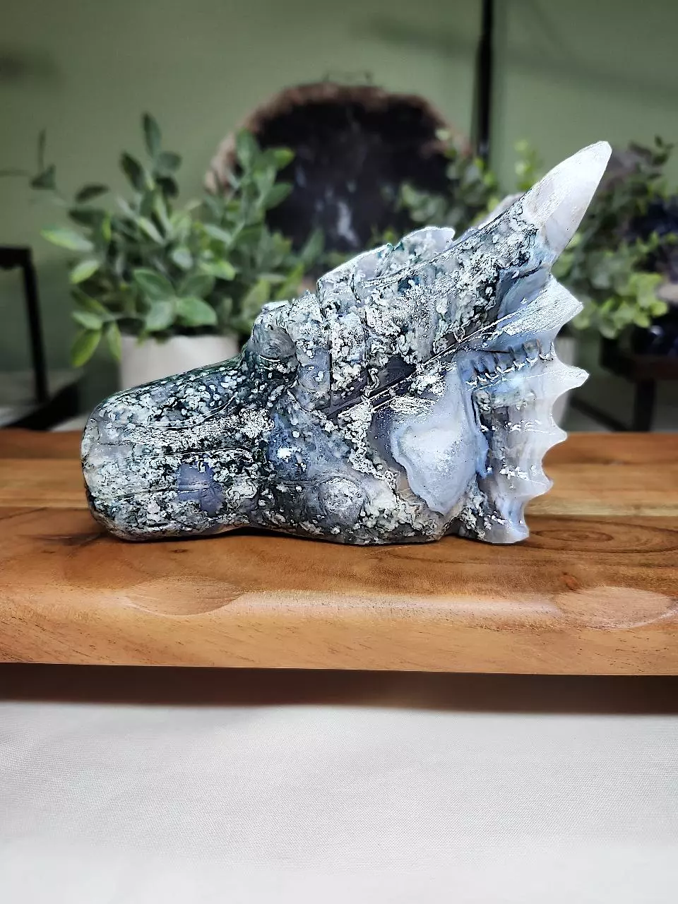 plant/Moss Agate large dragon head-0