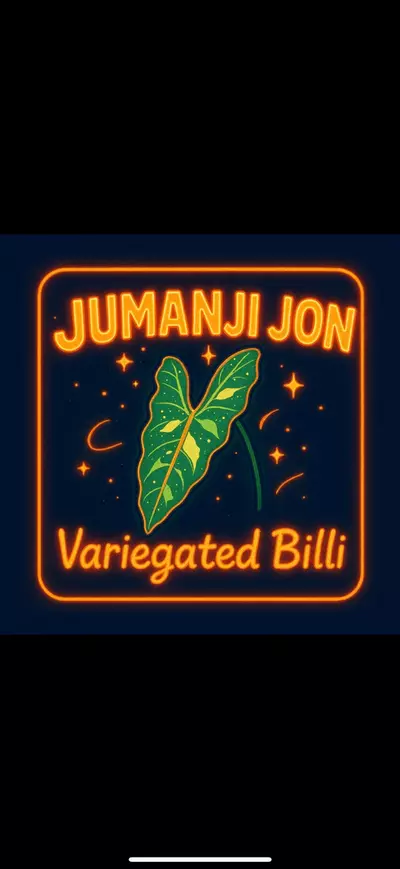 plant/Variegated Philodendron Billitiae TC-0-thumbnail