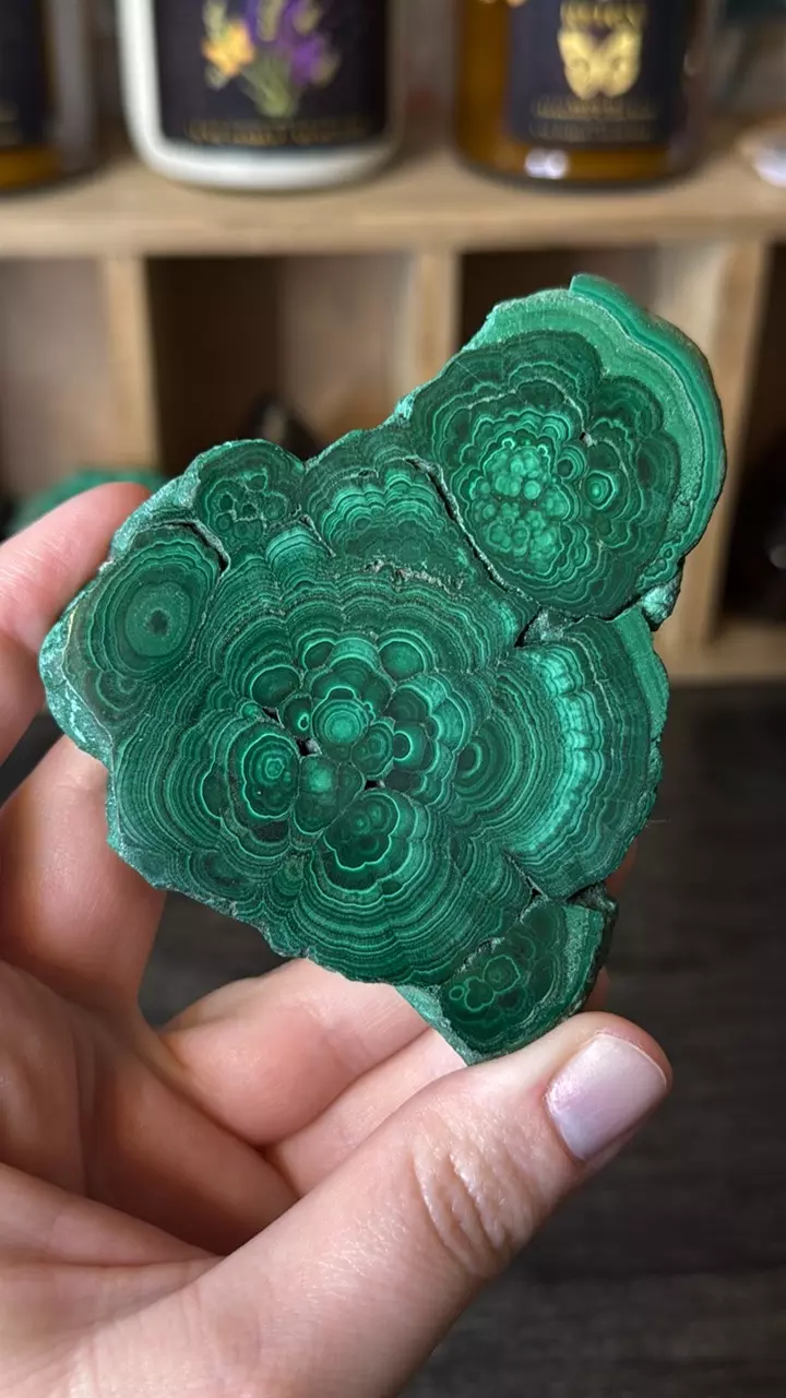 plant/$48 | Malachite Slab 48d-1