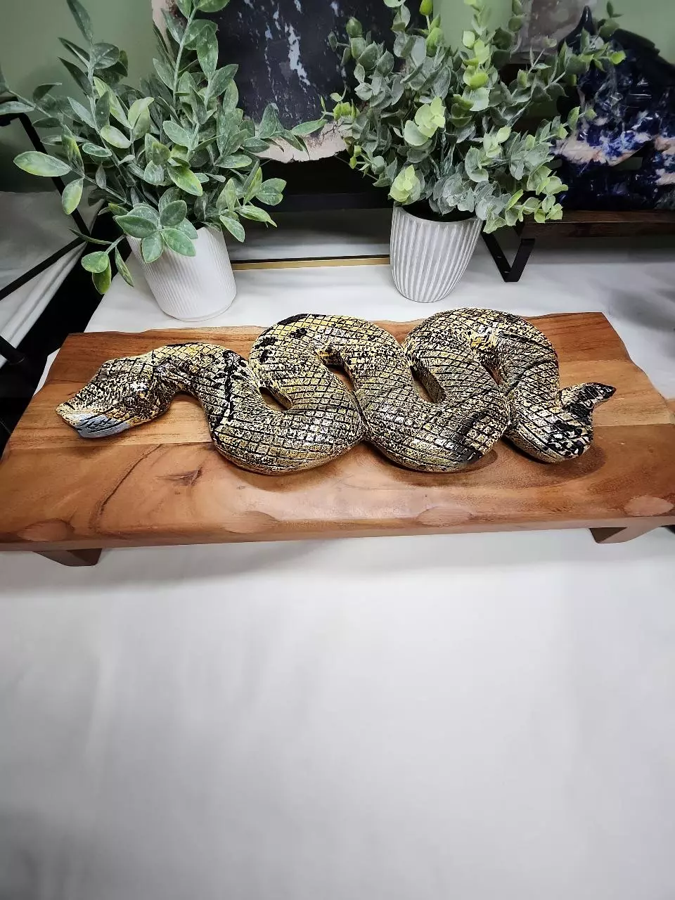 plant/Picture Jasper Xlarge snake-0