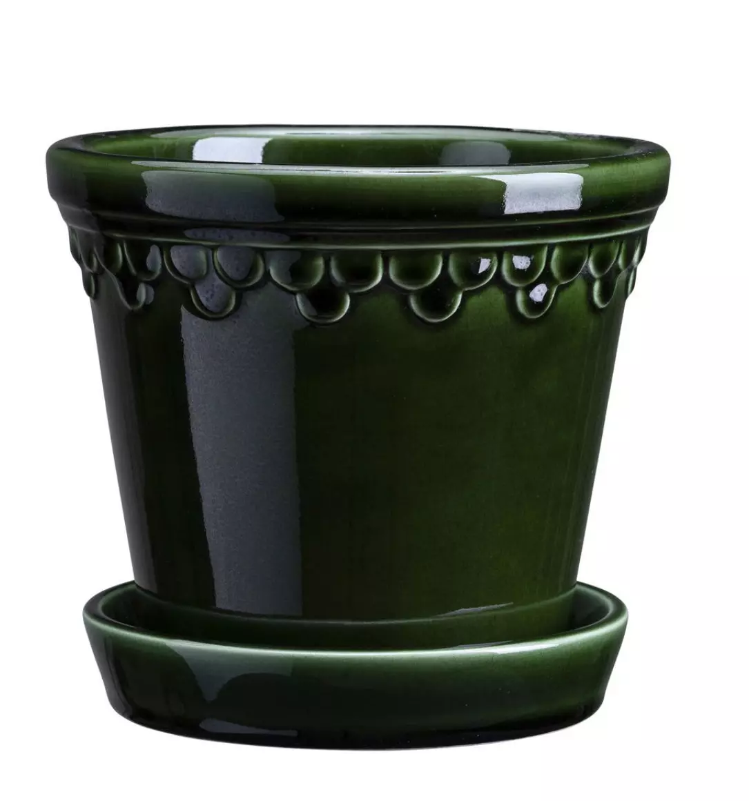 plant/SPECIAL ORDER: Bergs Kobenhavner Emerald Green 3.9” mini pot-0