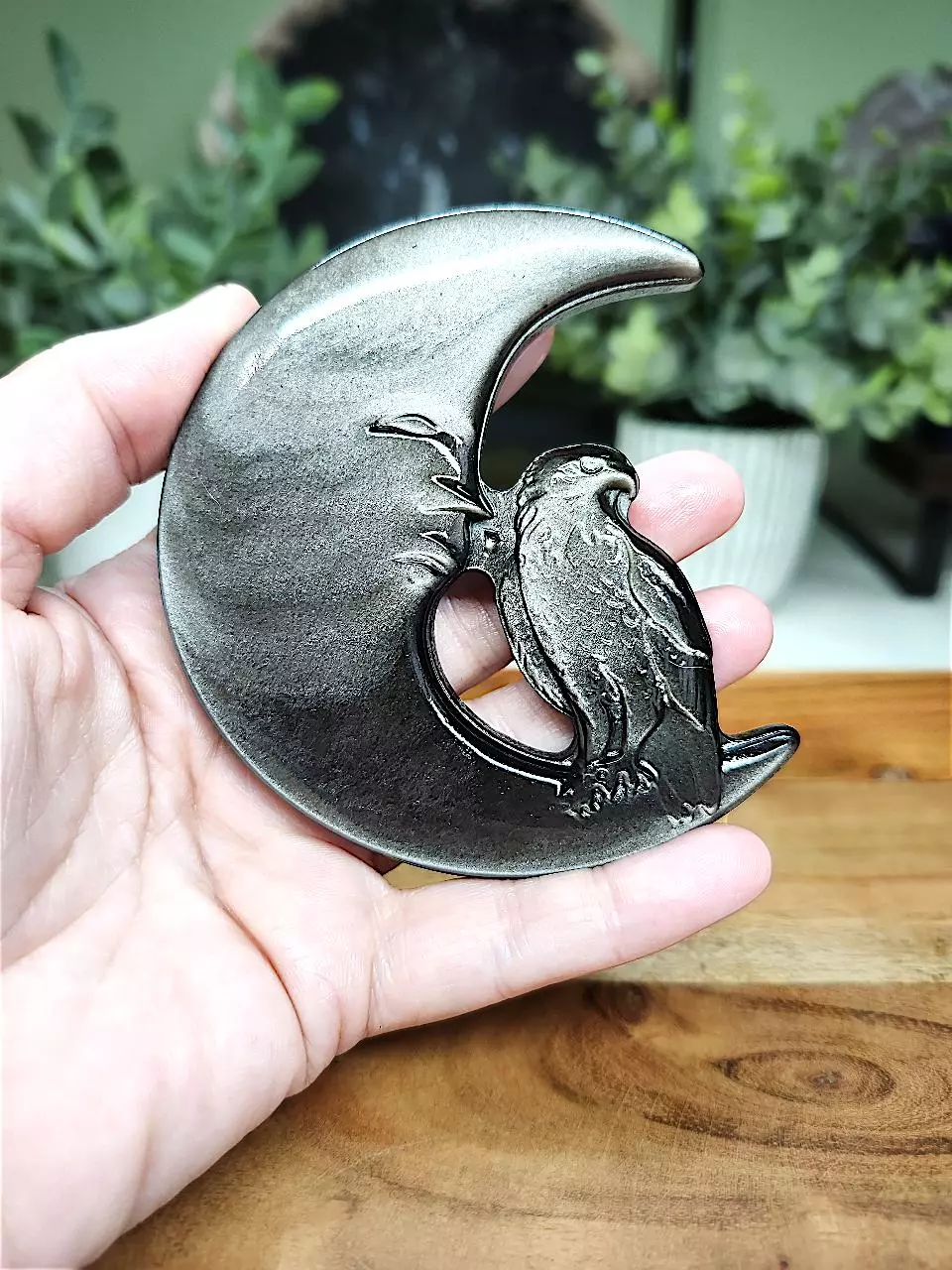 plant/Silver Sheen Obsidian moon w/eagle-0