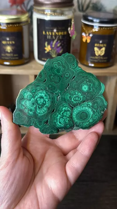 plant/$60 | Malachite Slab 60E-1-thumbnail