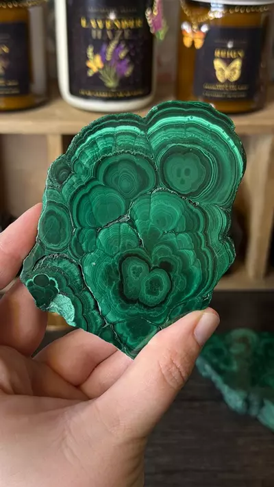 plant/$60 | Malachite Slab 60F-0-thumbnail