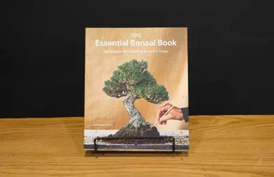 plant/Book – The Essential Bonsai Book by Jonas Dupuich-0-thumbnail