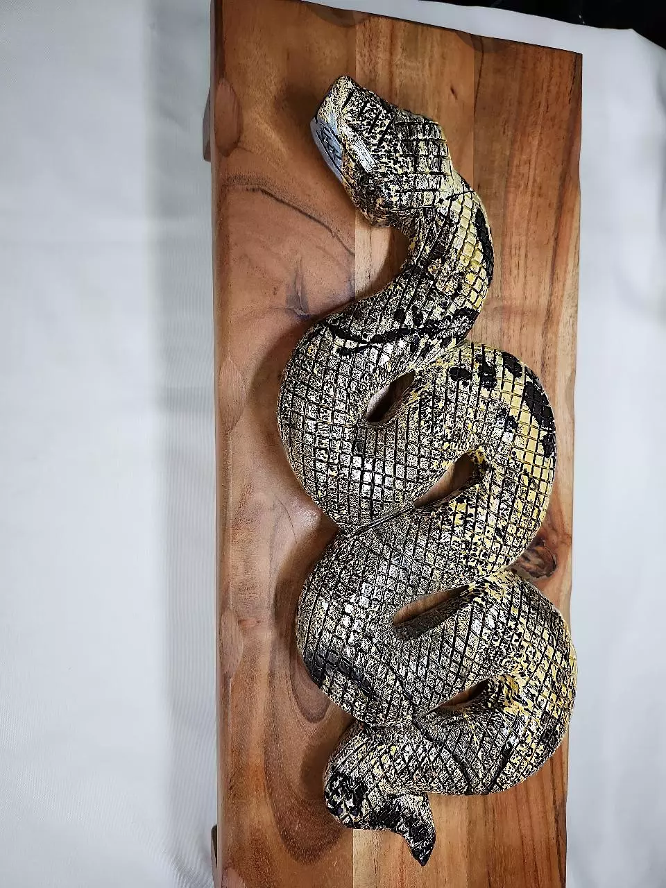 plant/Picture Jasper Xlarge snake-1