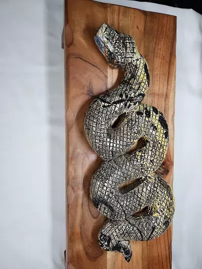 plant/Picture Jasper Xlarge snake-1-thumbnail