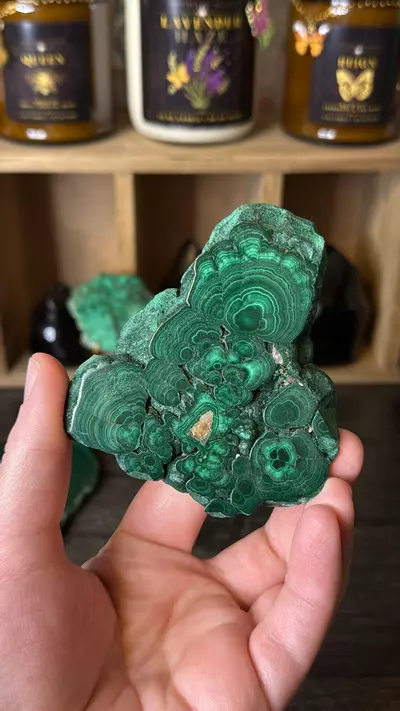 plant/$48 | Malachite Slab 48d-0-thumbnail
