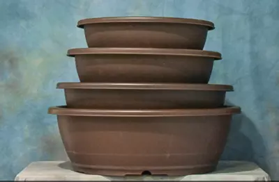plant/Plastic Bonsai Pots – Oval Series – Set of 4 Assorted Pots-0-thumbnail