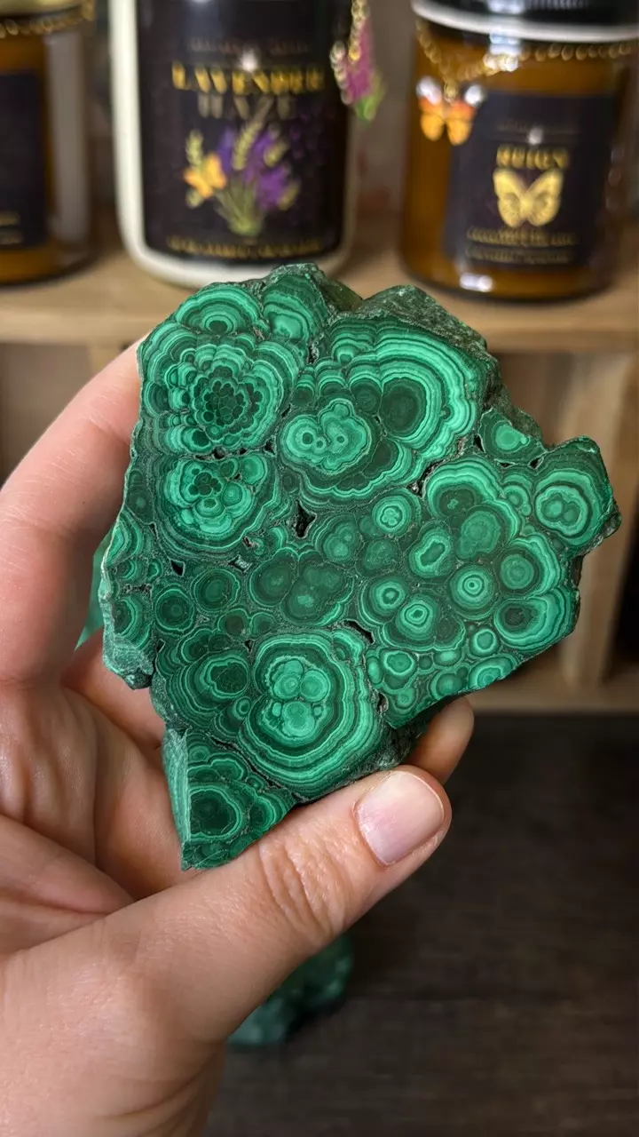 plant/$60 | Malachite Slab 60E-0