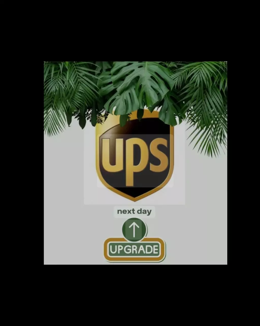 shipping_upgrade/Next Day Air Upgrade-0