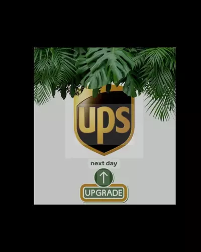 shipping_upgrade/Next Day Air Upgrade-0-thumbnail