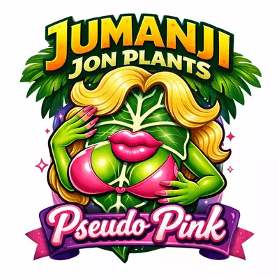 plant/Alocasia Pseudo Pink TC-0-thumbnail