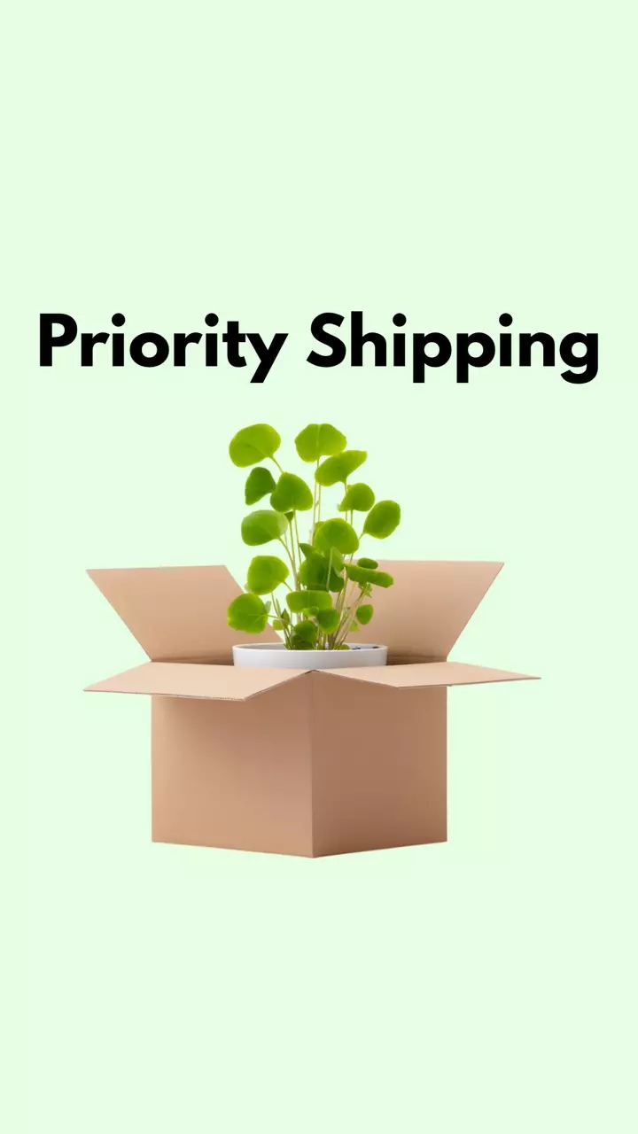 plant/Priority Shipping Upgrade = + $25 ontop of regular shipping charge.-0