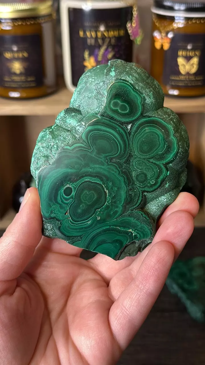 plant/$60 | Malachite Slab 60F-1