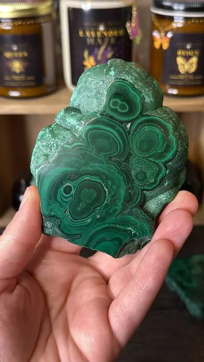 plant/$60 | Malachite Slab 60F-1-thumbnail