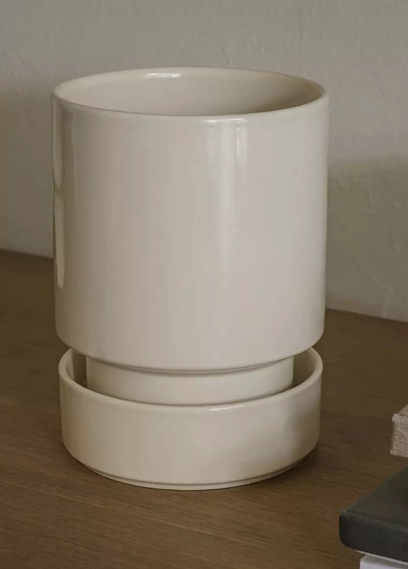 plant/SPECIAL ORDER: Bergs Sandstone Hoff SET 4.7”-0