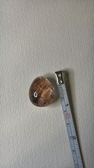 plant/$24 | Drilled Garden Teardrop 24E-1-thumbnail