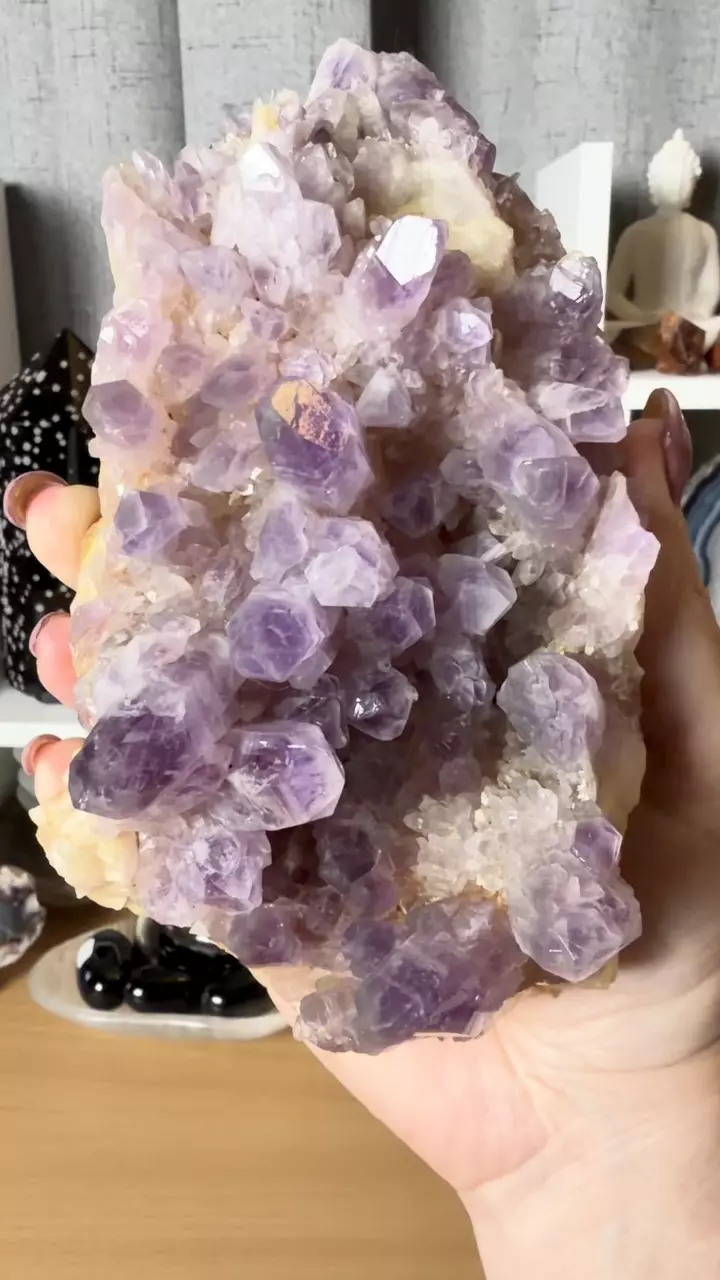 plant/Guerrero Amethyst Cluster from Mexico-2