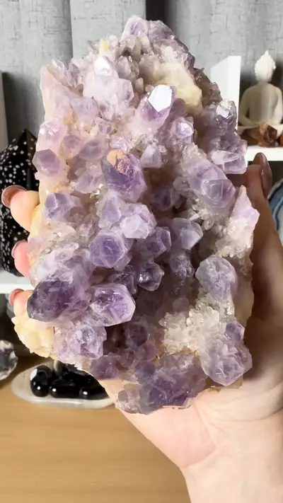 plant/Guerrero Amethyst Cluster from Mexico-2-thumbnail