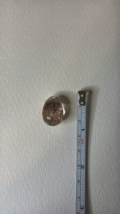 plant/$24 | Drilled Garden Teardrop 24C-1-thumbnail