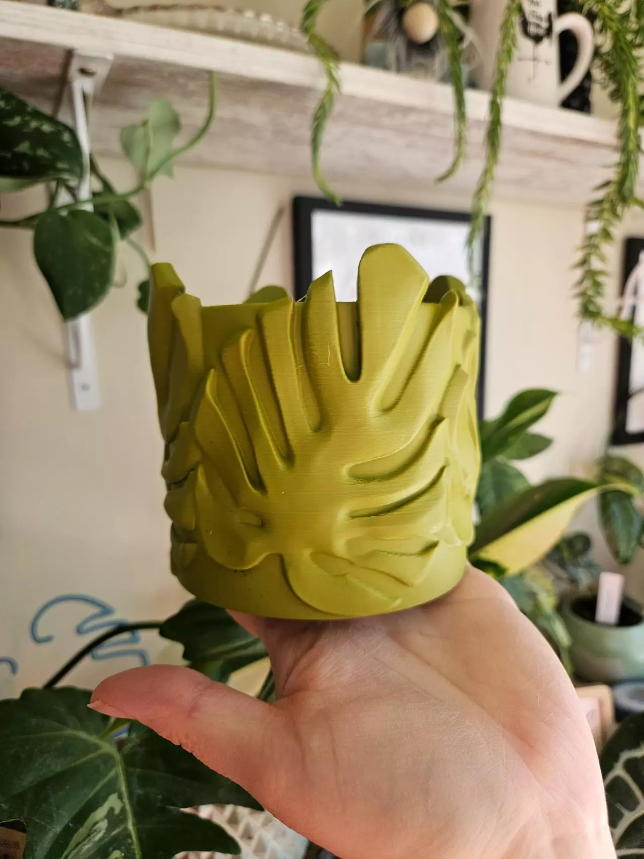 plant/4" monstera cache pot 3D print-4