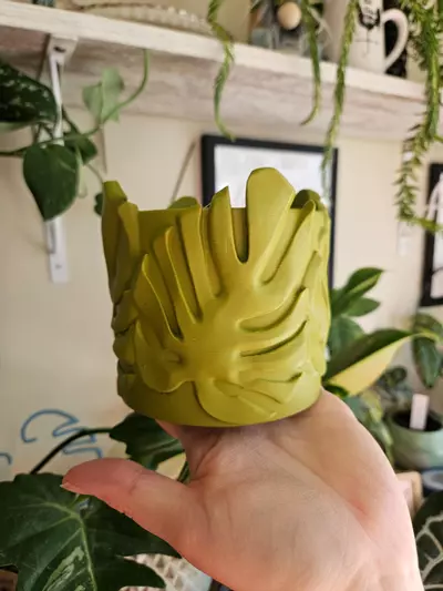 plant/4" monstera cache pot 3D print-4-thumbnail