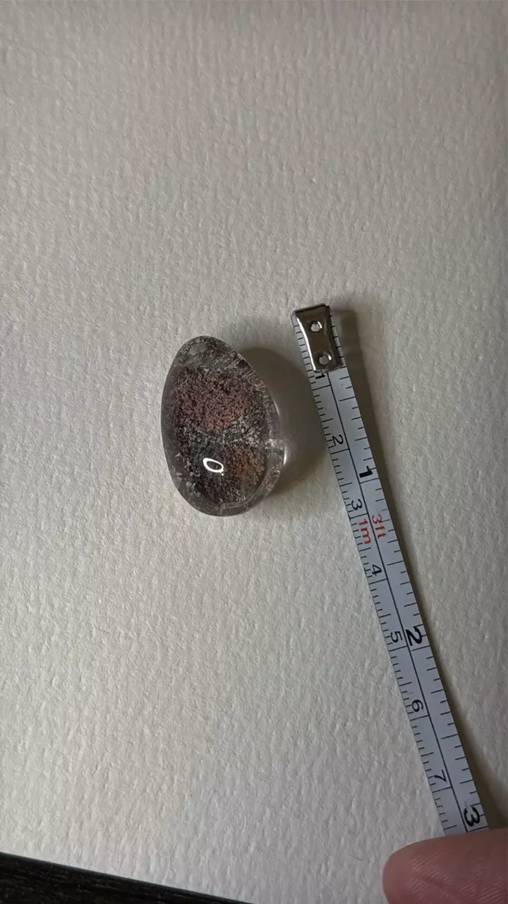 plant/$24 | Drilled Garden Teardrop 24F-1