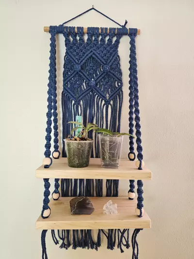 plant/double X berry shelf-0-thumbnail