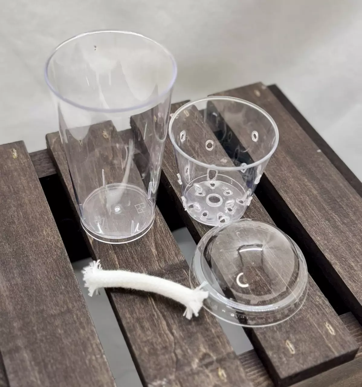 plant/Corm/pup cup w/humidity dome-1