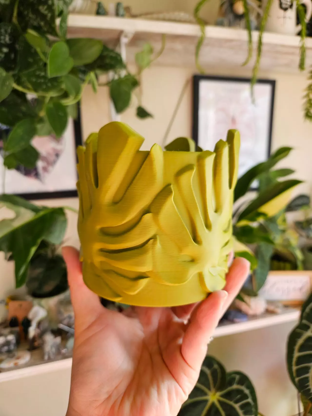 plant/4" monstera cache pot 3D print-1