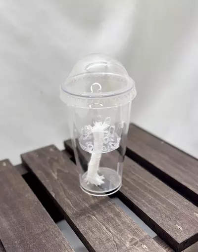 plant/Corm/pup cup w/humidity dome-0-thumbnail