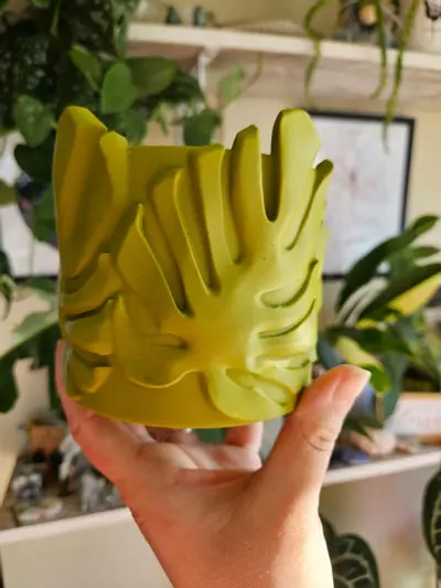 plant/4" monstera cache pot 3D print-0-thumbnail