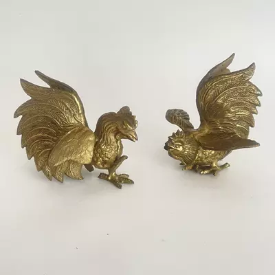 plant/Fighting Brass Cocks-0-thumbnail
