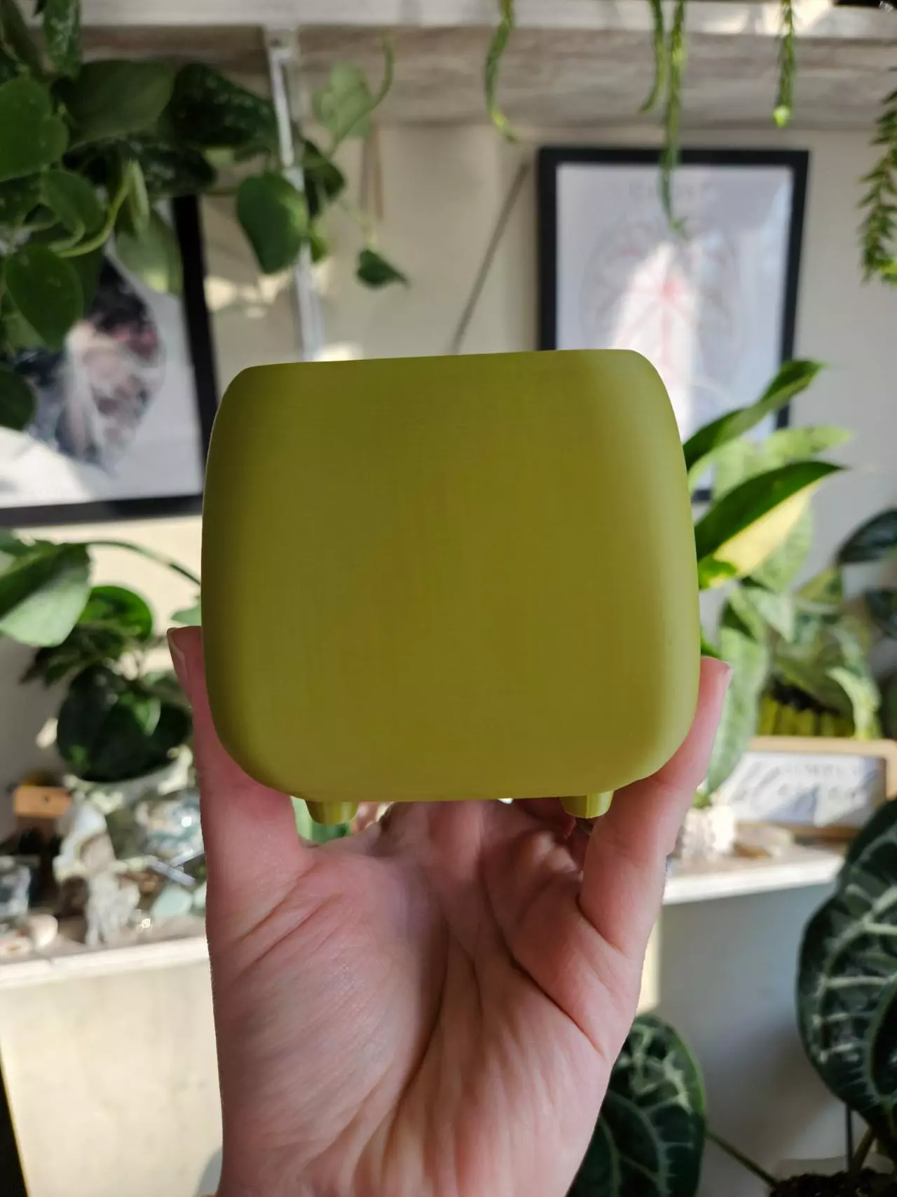 plant/3" pot 3D printed olive green-0