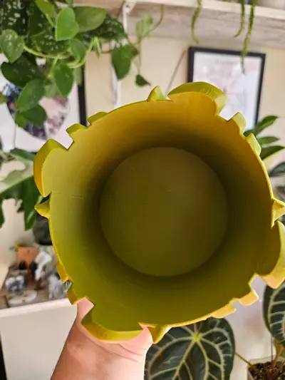 plant/4" monstera cache pot 3D print-2-thumbnail