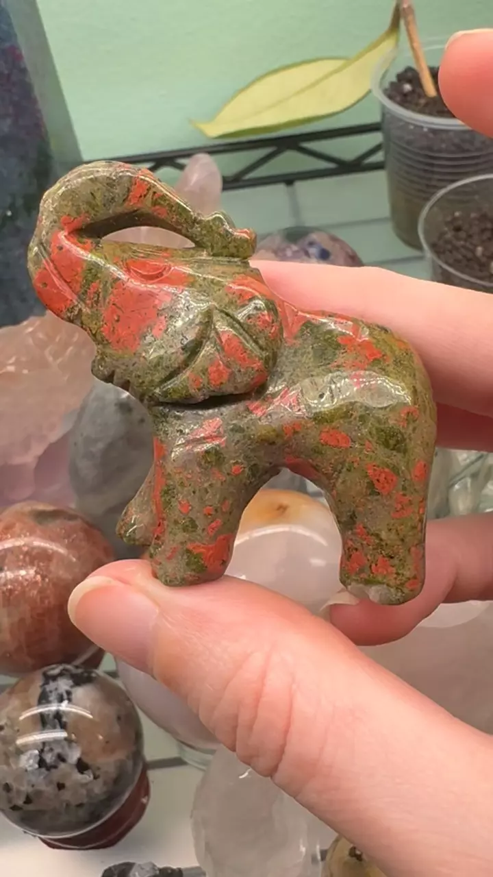 plant/Unakite ellie-0