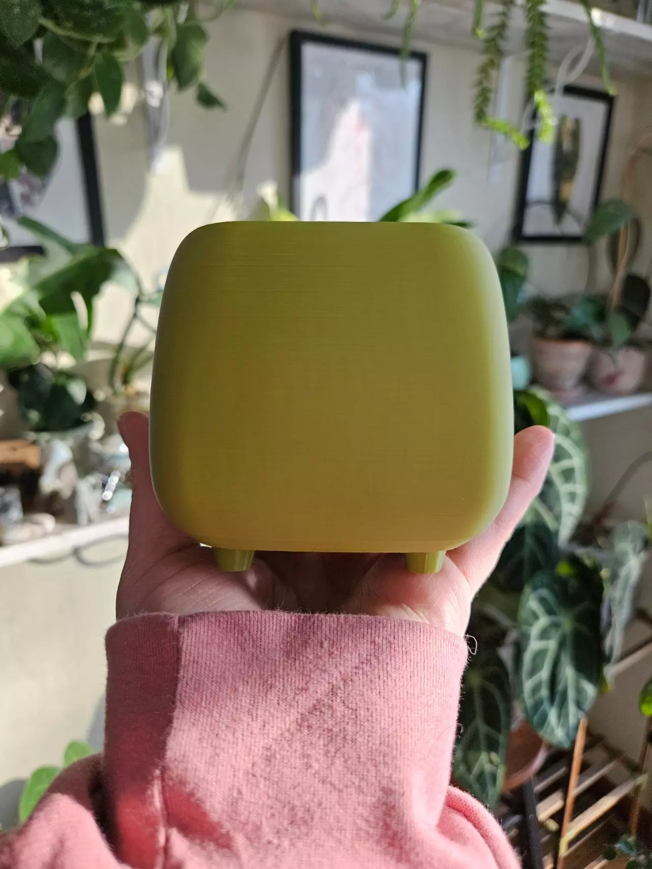plant/3" pot 3D printed olive green-4