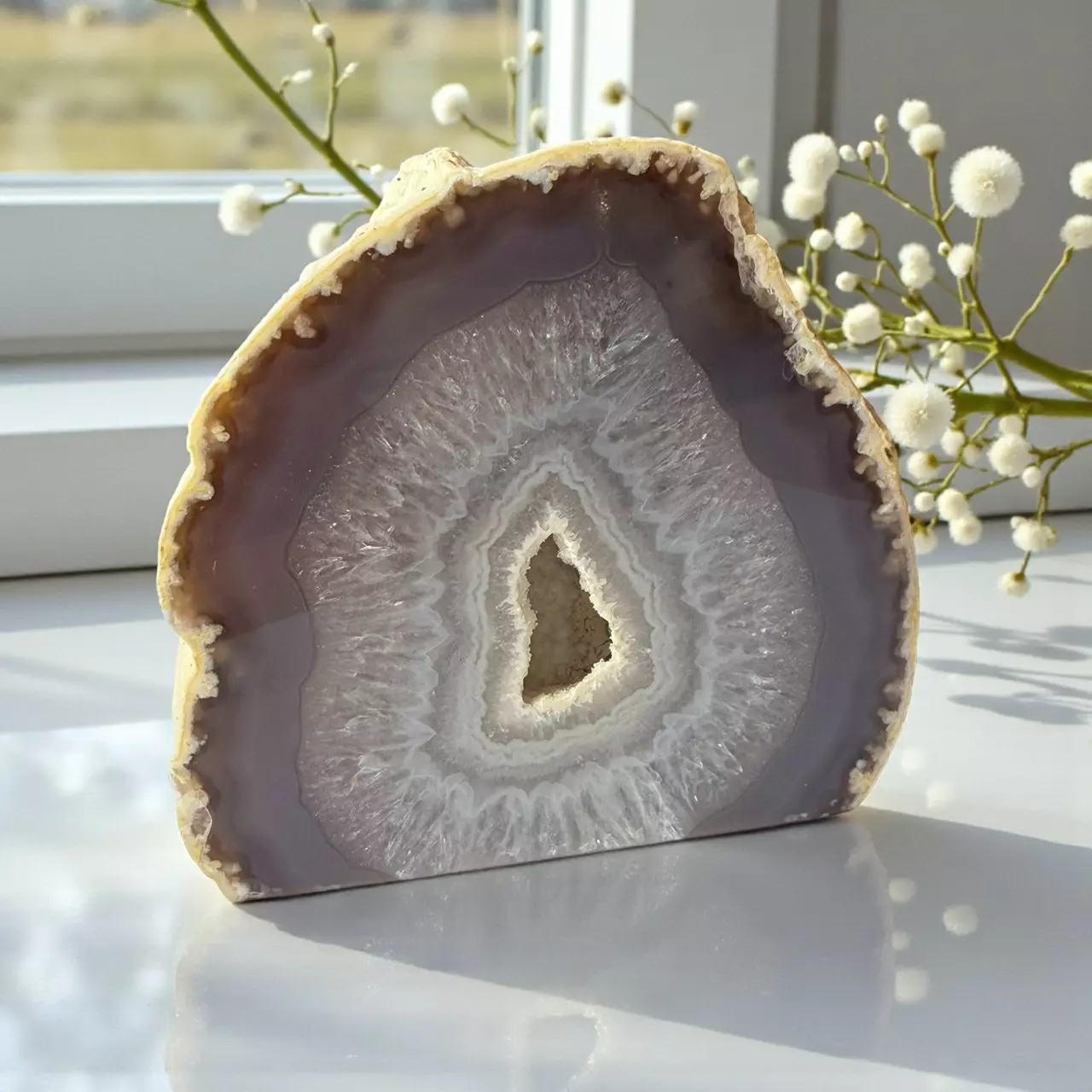 plant/Natural Agate Quartz Geode-1
