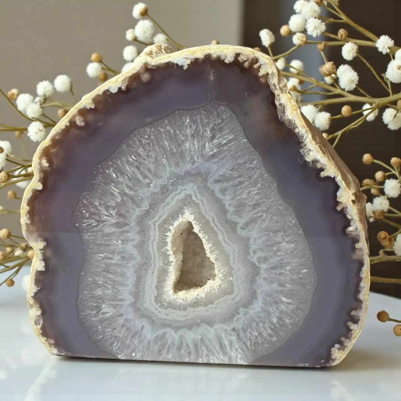 plant/Natural Agate Quartz Geode-0