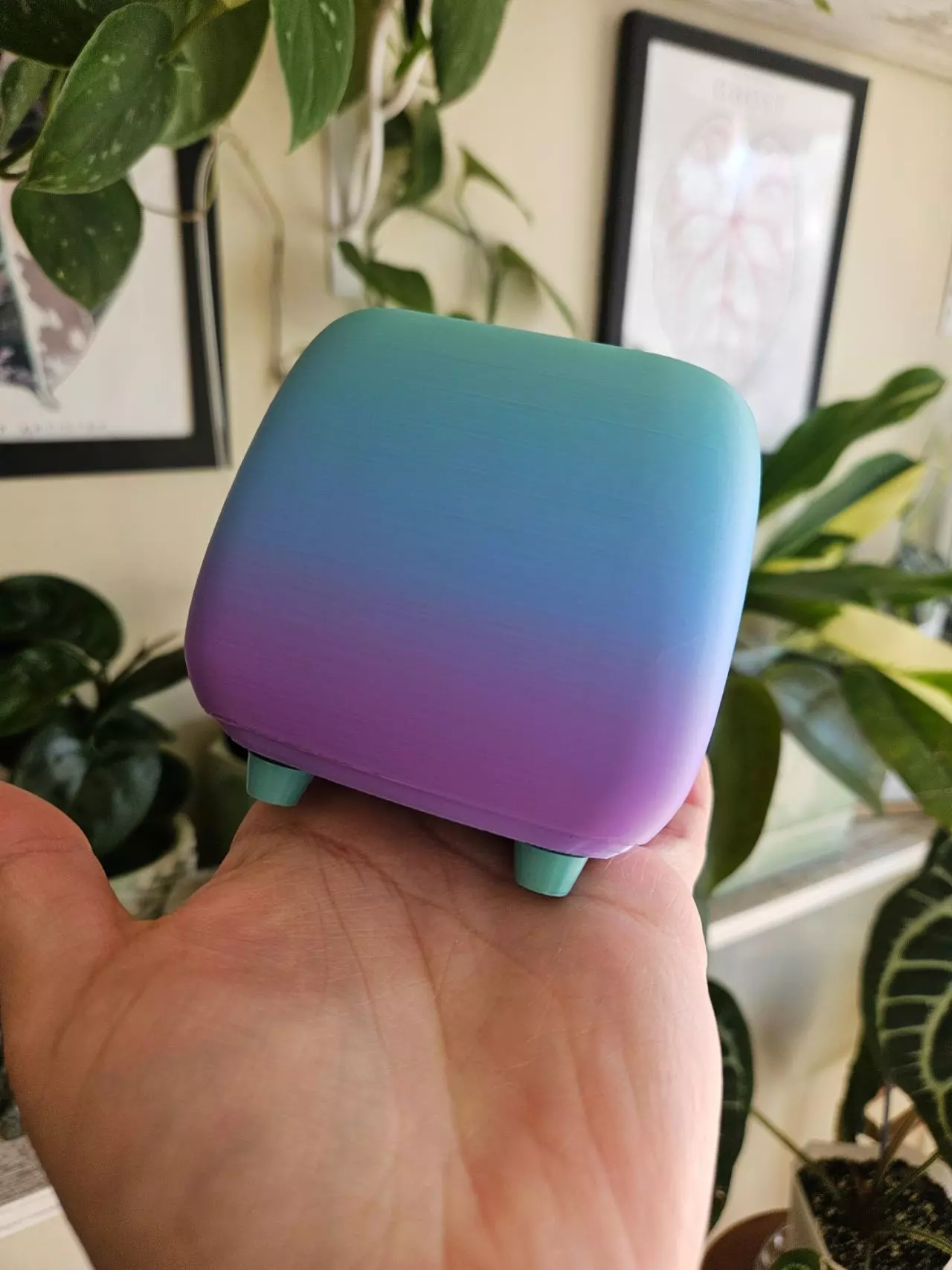 plant/3" pot 3D printed rainbow-1